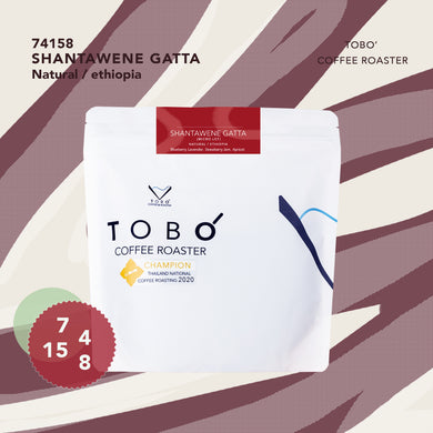 74158 Shantawene Gatta - Natural / Ethiopia